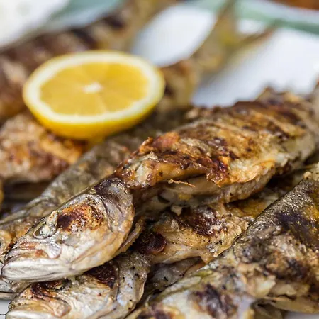 ヴェネーラ ホテル スヴェティ・ヴラス