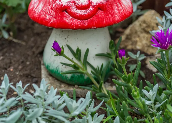 Tropics & Venera 3* Sveti Vlas