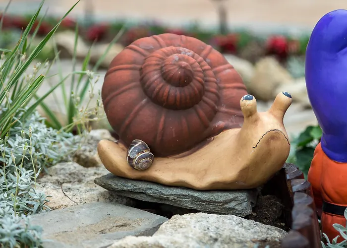 Tropics & Venera Sveti Vlas