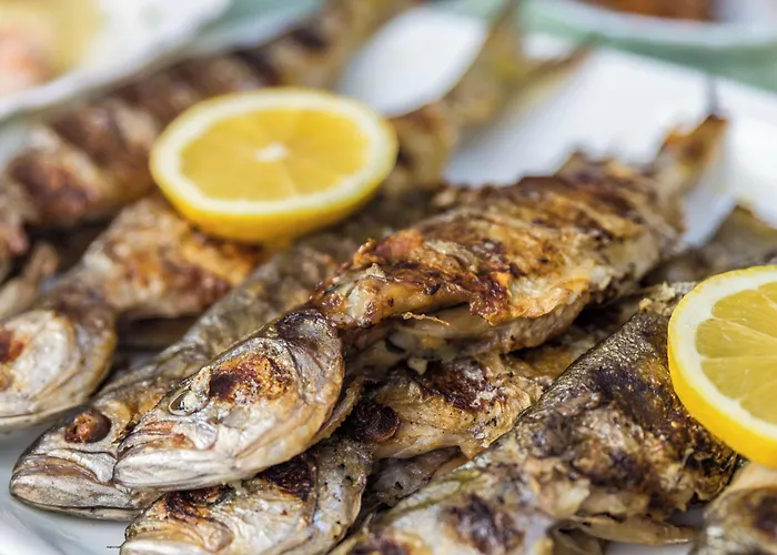 Hotel Tropics & Venera